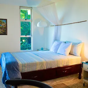 https://moonlight-beach-studio-montego-bay-club.hotelsmontegobay.org